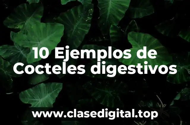 10 Ejemplos de Cocteles digestivos