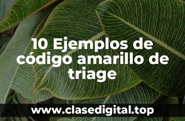 10 Ejemplos de código amarillo de triage