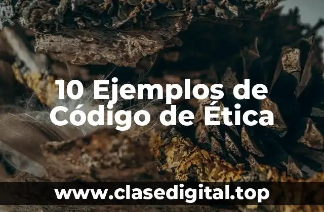 Ejemplos de Códigos de Ética en Diferentes Ámbitos