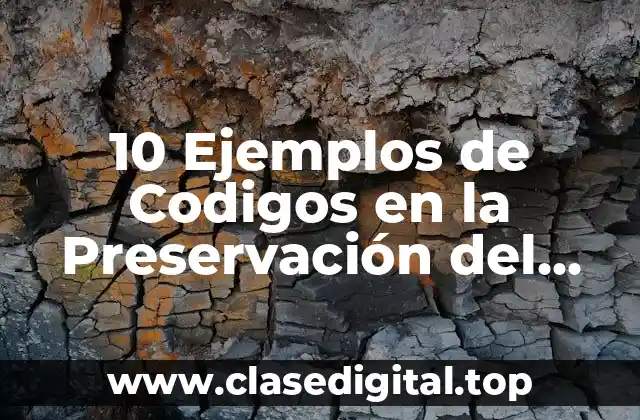 10 Ejemplos de Codigos en la Preservación del Medio Ambiente