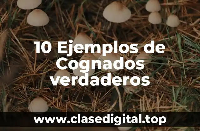 10 Ejemplos de Cognados verdaderos