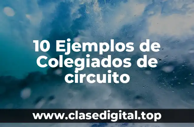 ⚖️ Ejemplos de casos revisados por Colegiados de circuito