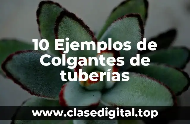 10 Ejemplos de Colgantes de tuberías