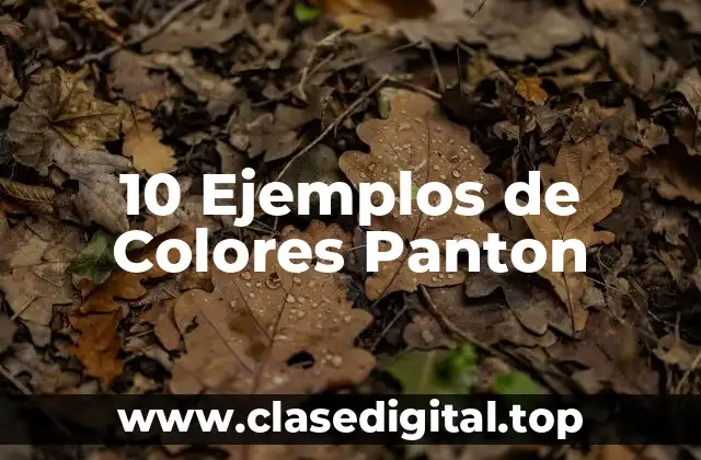 Ejemplos de colores Panton