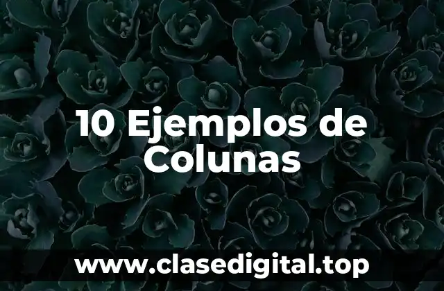 10 Ejemplos de Colunas