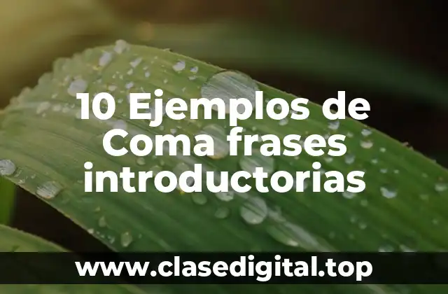 10 Ejemplos de Coma frases introductorias