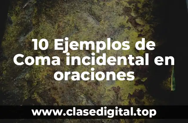 10 Ejemplos de Coma incidental en oraciones