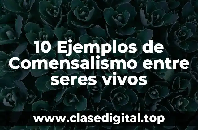10 Ejemplos de Comensalismo entre seres vivos