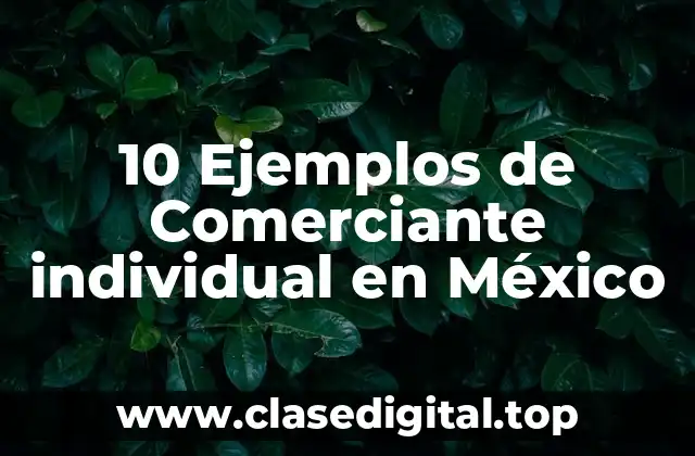 Ejemplos de un comerciante individual en México