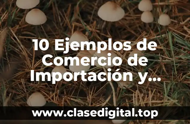 10 Ejemplos de Comercio de Importación y Exportación y Balanza Comercial