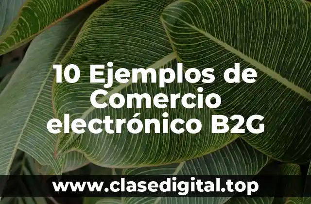 10 Ejemplos de Comercio electrónico B2G