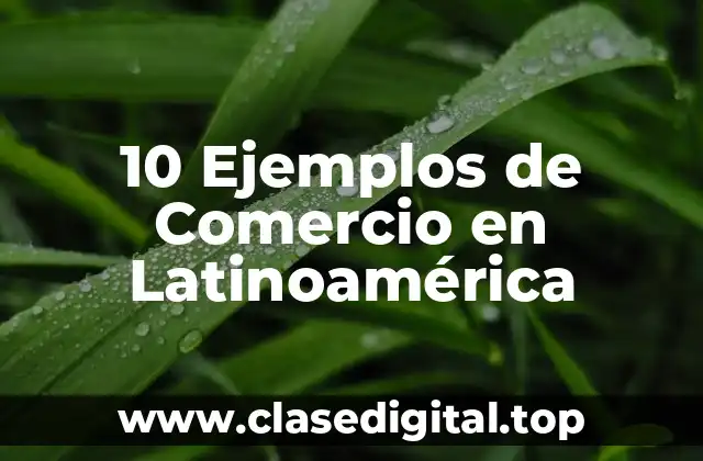 10 Ejemplos de Comercio en Latinoamérica