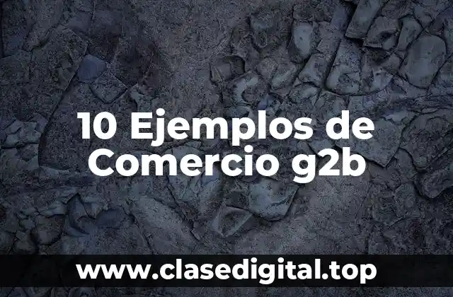 10 Ejemplos de Comercio g2b