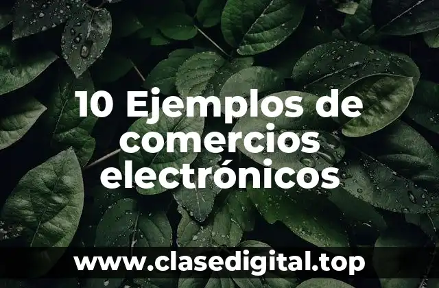 10 Ejemplos de comercios electrónicos