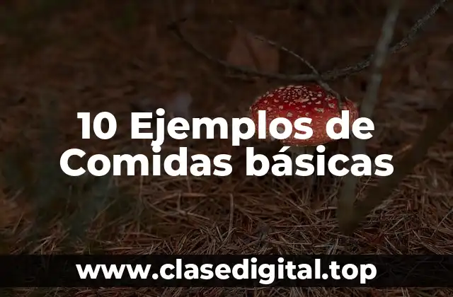 10 Ejemplos de Comidas básicas