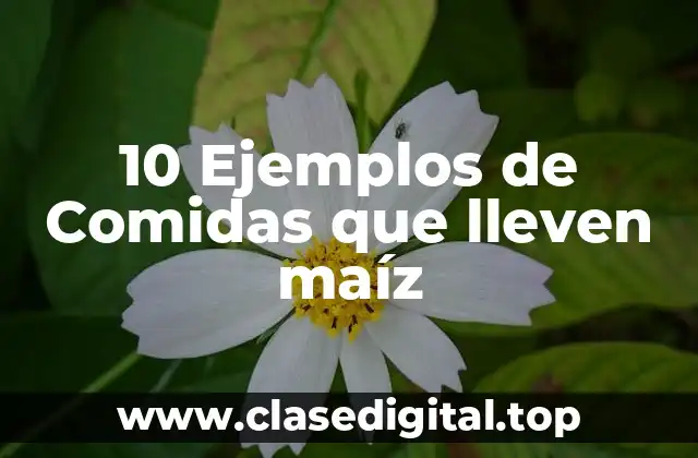 10 Ejemplos de Comidas que lleven maíz