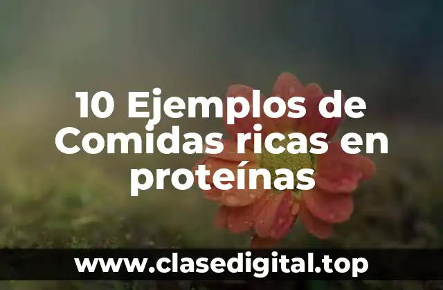 10 Ejemplos de Comidas ricas en proteínas