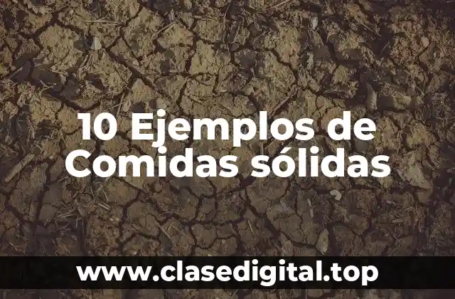10 Ejemplos de Comidas sólidas