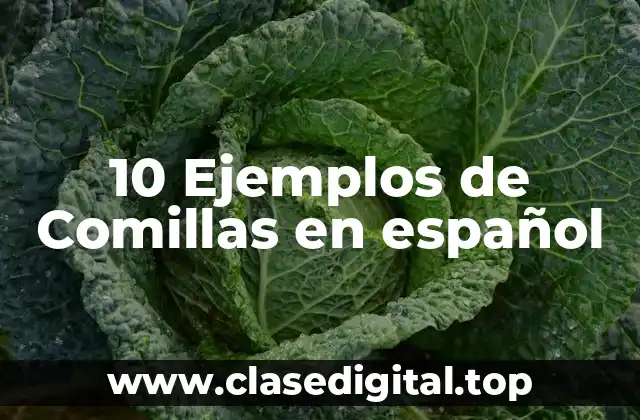 10 Ejemplos de Comillas en español