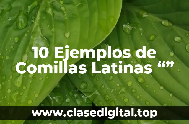 10 Ejemplos de Comillas Latinas “”