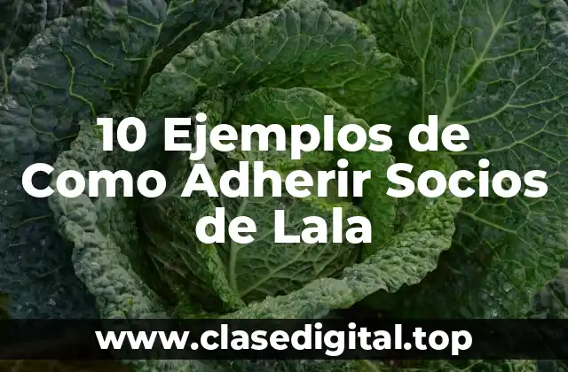 10 Ejemplos de Como Adherir Socios de Lala