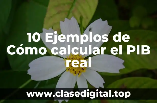 10 Ejemplos de Cómo calcular el PIB real