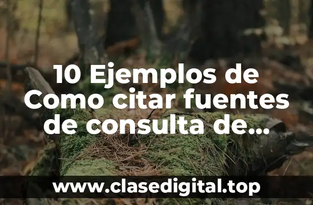 10 Ejemplos de Como citar fuentes de consulta de internet