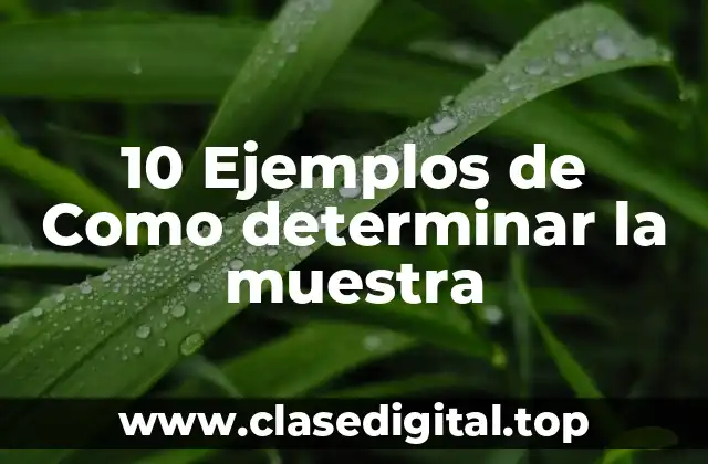 10 Ejemplos de Como determinar la muestra