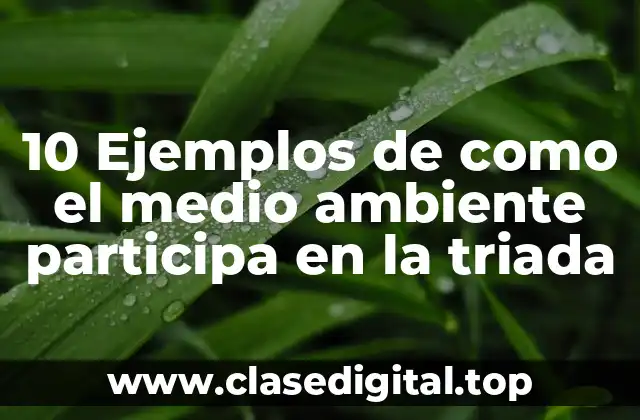 10 Ejemplos de como el medio ambiente participa en la triada