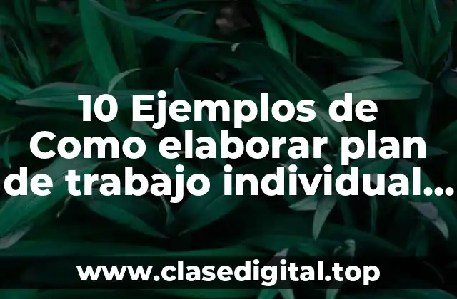 10 Ejemplos de Como elaborar plan de trabajo individual CTE