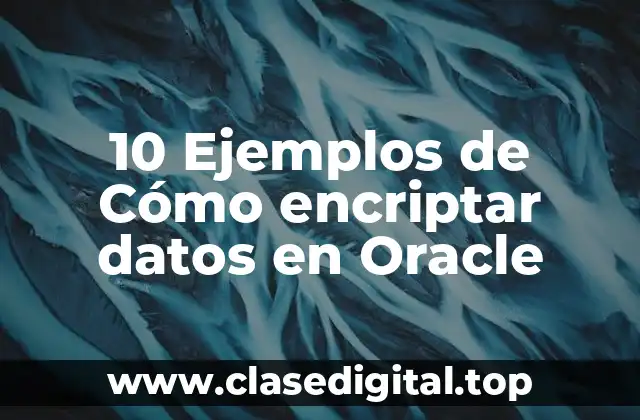 10 Ejemplos de Cómo encriptar datos en Oracle