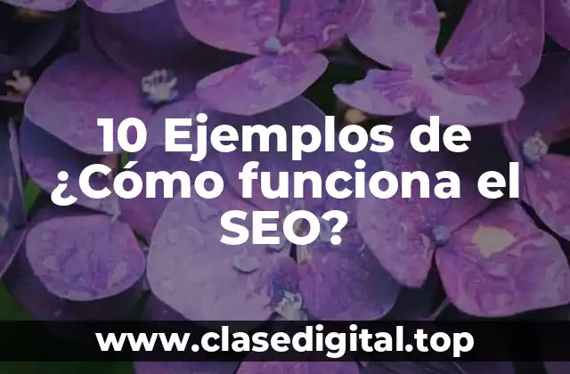 10 Ejemplos de ¿Cómo funciona el SEO?