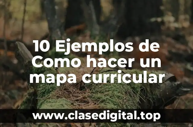 10 Ejemplos de Como hacer un mapa curricular