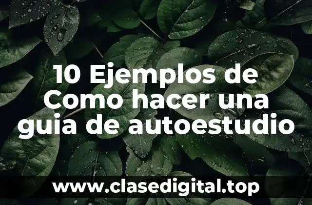 10 Ejemplos de Como hacer una guia de autoestudio