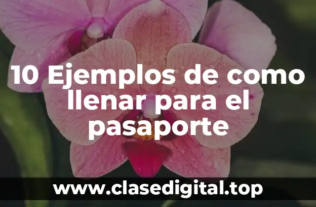 10 Ejemplos de como llenar para el pasaporte