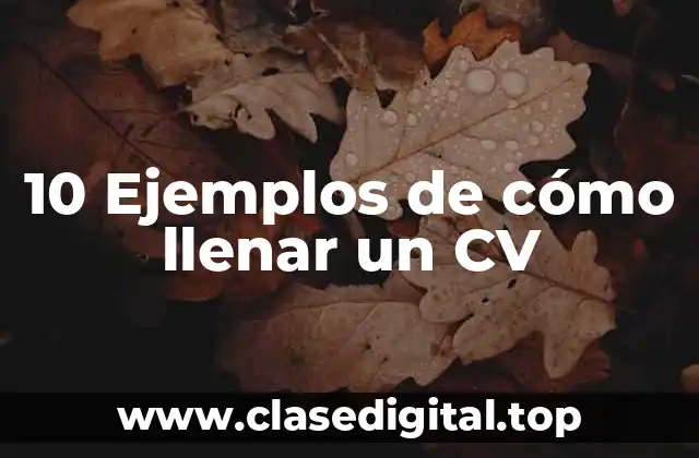 10 Ejemplos de cómo llenar un CV