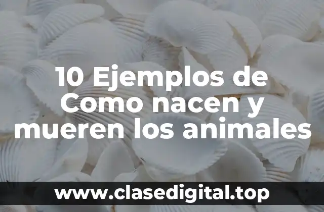 10 Ejemplos de Como nacen y mueren los animales