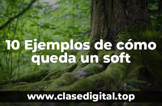 10 Ejemplos de cómo queda un soft