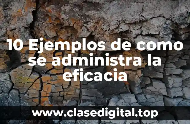 10 Ejemplos de como se administra la eficacia