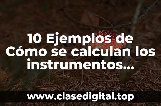 10 Ejemplos de Cómo se calculan los instrumentos financieros de vanguardia