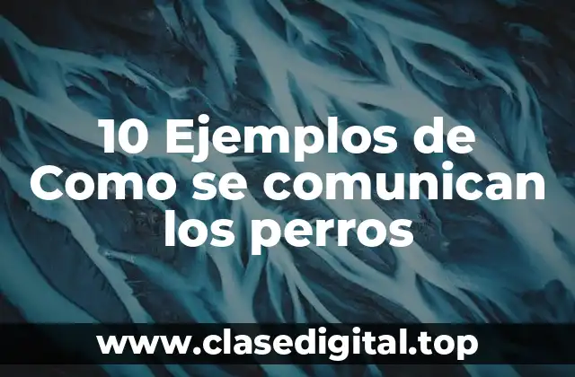 10 Ejemplos de Como se comunican los perros