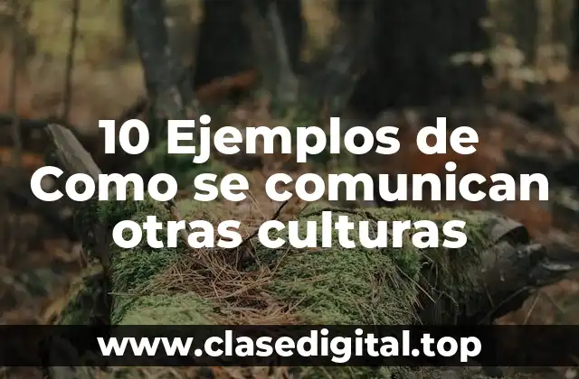 10 Ejemplos de Como se comunican otras culturas