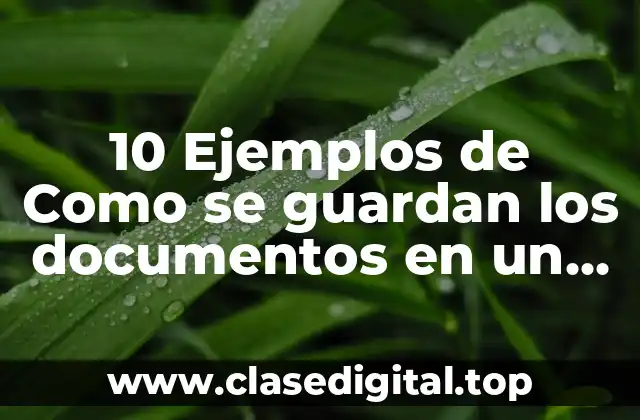 10 Ejemplos de Como se guardan los documentos en un expediente