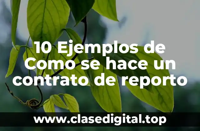 10 Ejemplos de Como se hace un contrato de reporto