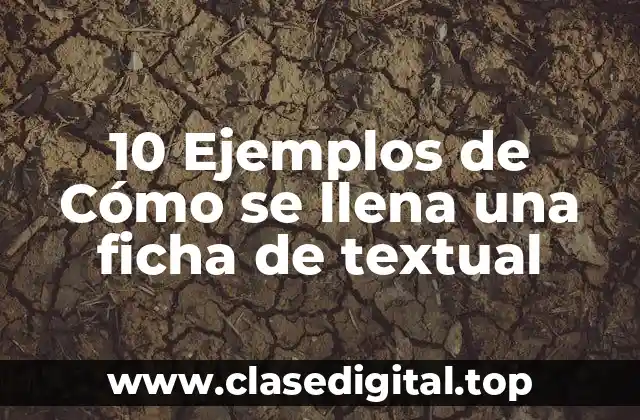 10 Ejemplos de Cómo se llena una ficha de textual