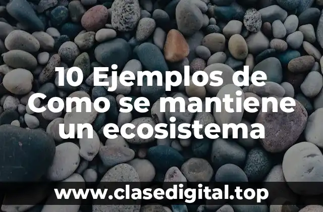 10 Ejemplos de Como se mantiene un ecosistema
