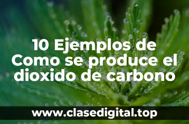 10 Ejemplos de Como se produce el dioxido de carbono