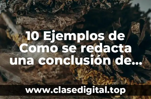 10 Ejemplos de Como se redacta una conclusión de un proyecto