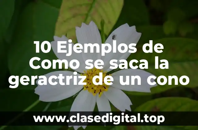 10 Ejemplos de Como se saca la geractriz de un cono