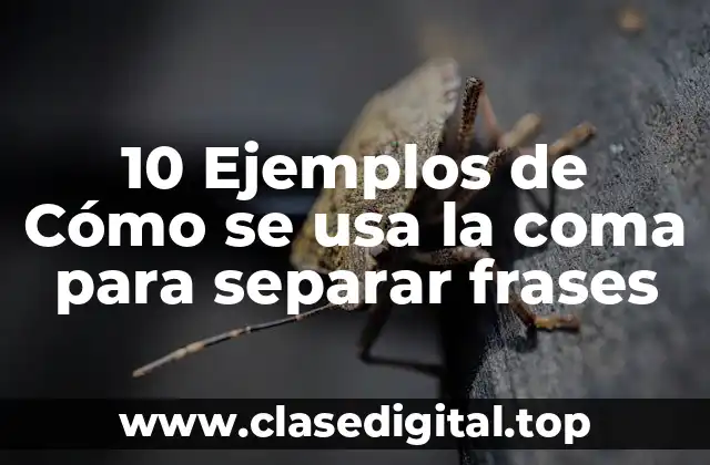 10 Ejemplos de Cómo se usa la coma para separar frases